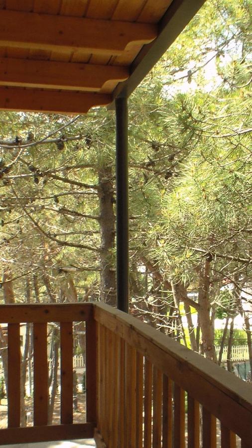 Hotel Temali 2 Velipojë Esterno foto