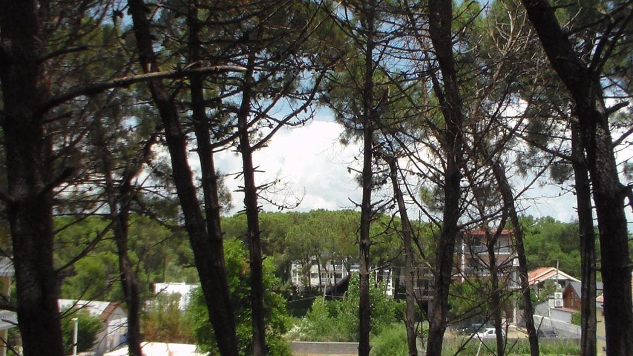 Hotel Temali 2 Velipojë Esterno foto
