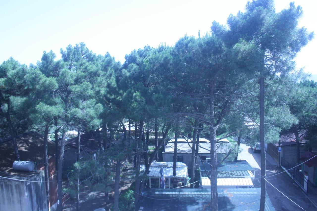 Hotel Temali 2 Velipojë Esterno foto